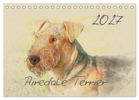 Airedale Terrier 2027 (Tischkalender 2027 DIN A5 quer), CALVENDO Monatskalender
