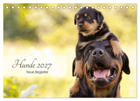 Hunde 2027 - Treue Begleiter (Tischkalender 2027 DIN A5 quer), CALVENDO Monatskalender