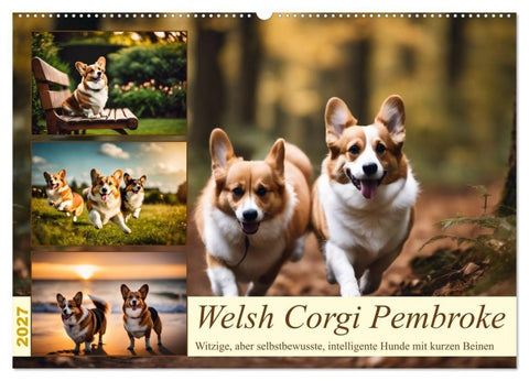 Welsh Corgi Pembroke (Wandkalender 2027 DIN A2 quer), CALVENDO Monatskalender