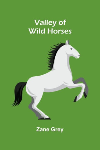Valley of Wild Horses