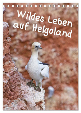 Wildes Leben auf Helgoland (Tischkalender 2027 DIN A5 hoch), CALVENDO Monatskalender