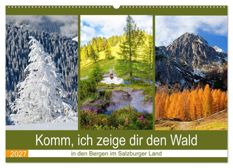 Komm, ich zeige dir den Wald (Wandkalender 2027 DIN A2 quer), CALVENDO Monatskalender