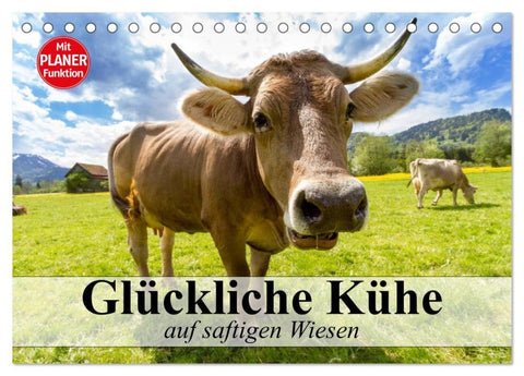 Glückliche Kühe auf saftigen Wiesen (Tischkalender 2026 DIN A5 quer), CALVENDO Monatskalender