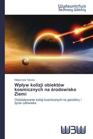 Wp¿yw kolizji obiektów kosmicznych na ¿rodowisko Ziemi