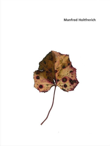 Manfred Holtfrerich. Blätter 237 - 342