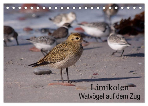 Limikolen Watvögel auf dem Zug (Tischkalender 2027 DIN A5 quer), CALVENDO Monatskalender