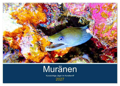 Muränen - Kurzsichtige Jäger im Korallenriff (Wandkalender 2027 DIN A2 quer), CALVENDO Monatskalender