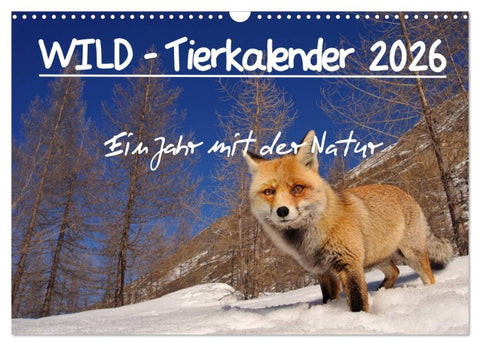 WILD - Tierkalender 2026 (Wandkalender 2026 DIN A3 quer), CALVENDO Monatskalender