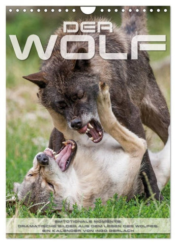 Emotionale Momente: Der Wolf. (Wandkalender 2027 DIN A4 hoch), CALVENDO Monatskalender