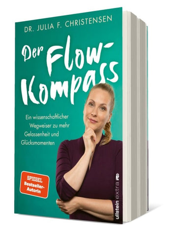 Der Flow-Kompass