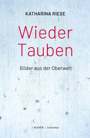 Wieder Tauben