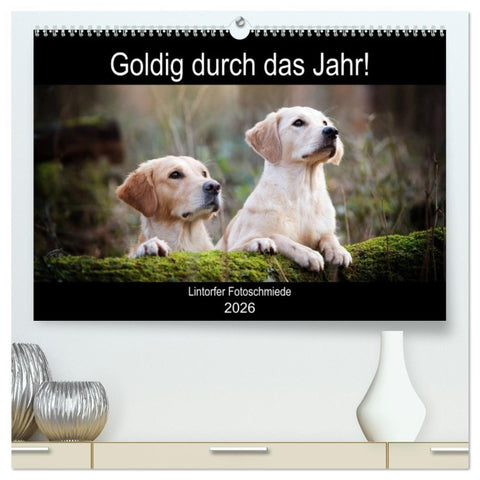 Goldig durch das Jahr! (hochwertiger Premium Wandkalender 2026 DIN A2 quer), Kunstdruck in Hochglanz