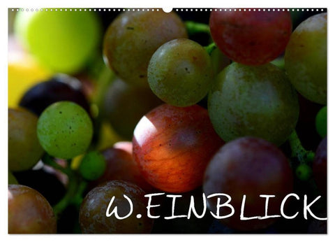 W.EINBLICK (Wandkalender 2027 DIN A2 quer), CALVENDO Monatskalender