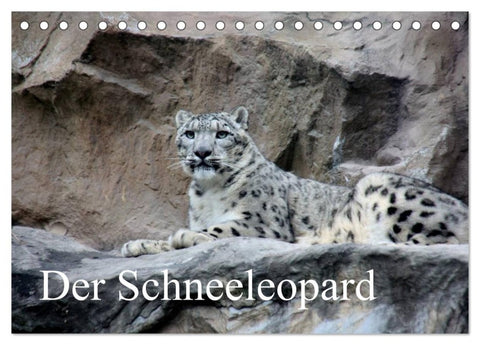 Der Schneeleopard (Tischkalender 2026 DIN A5 quer), CALVENDO Monatskalender