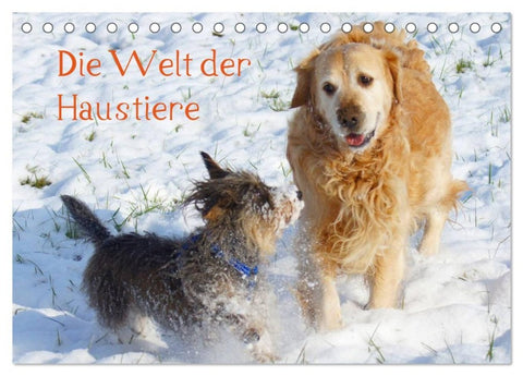 Die Welt der Haustiere (Tischkalender 2027 DIN A5 quer), CALVENDO Monatskalender