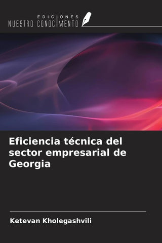 Eficiencia técnica del sector empresarial de Georgia
