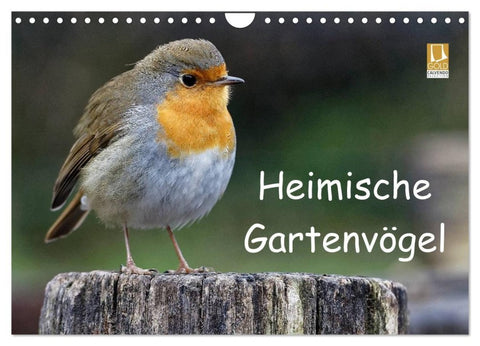 Heimische Gartenvögel (Wandkalender 2027 DIN A4 quer), CALVENDO Monatskalender