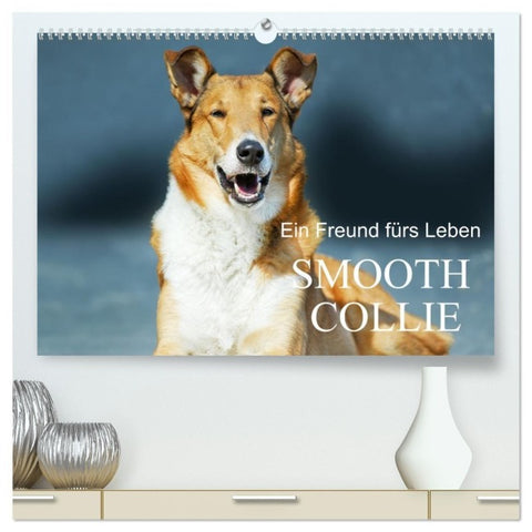 Ein Freund fürs Leben - Smooth Collie (hochwertiger Premium Wandkalender 2027 DIN A2 quer), Kunstdruck in Hochglanz