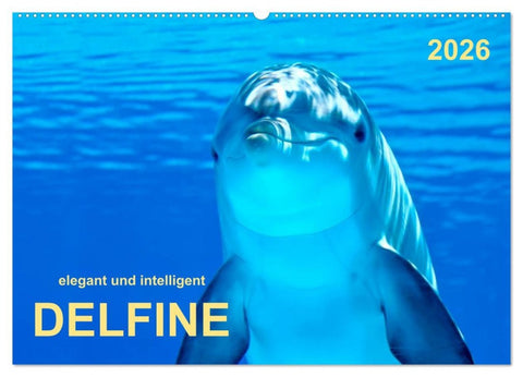 Delfine - elegant und intelligent (Wandkalender 2026 DIN A2 quer), CALVENDO Monatskalender
