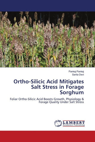 Ortho-Silicic Acid Mitigates Salt Stress in Forage Sorghum