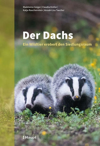 Der Dachs