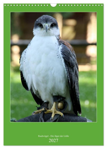 Raubvögel - Die Jäger der Lüfte (Wandkalender 2027 DIN A3 hoch), CALVENDO Monatskalender