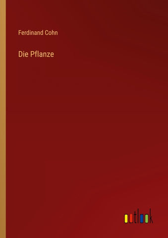Die Pflanze