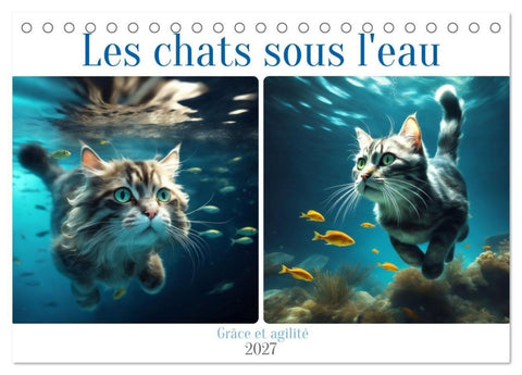 Les chats sous l'eau (Calendrier de bureau 2027 DIN A5 vertical), CALVENDO calendrier mensuel