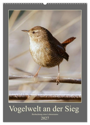 Vogelwelt an der Sieg (Wandkalender 2027 DIN A2 hoch), CALVENDO Monatskalender
