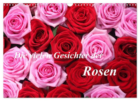 Die vielen Gesichter der Rosen (Wandkalender 2026 DIN A3 quer), CALVENDO Monatskalender