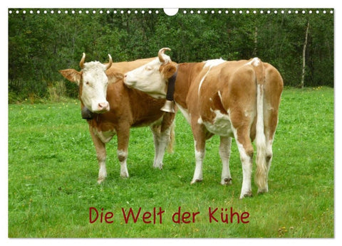 Die Welt der Kühe (Wandkalender 2027 DIN A3 quer), CALVENDO Monatskalender