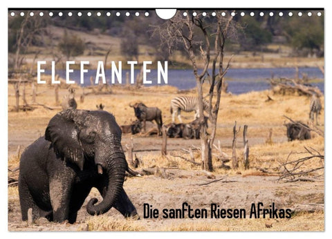Elefanten - Die sanften Riesen Afrikas (Wandkalender 2027 DIN A4 quer), CALVENDO Monatskalender