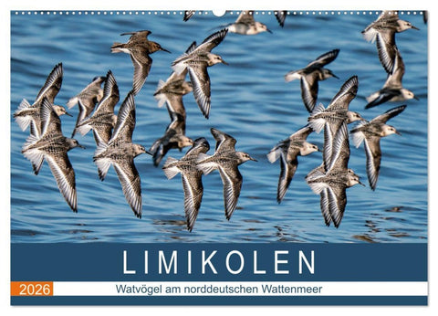 Limikolen - Watvögel am norddeutschen Wattenmeer (Wandkalender 2026 DIN A2 quer), CALVENDO Monatskalender