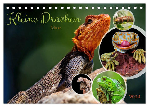 Kleine Drachen - Echsen (Tischkalender 2026 DIN A5 quer), CALVENDO Monatskalender