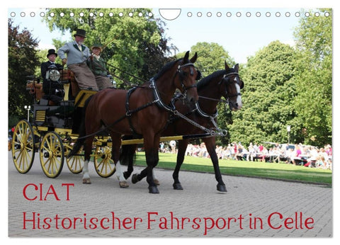 CIAT - Historischer Fahrsport in Celle (Wandkalender 2026 DIN A4 quer), CALVENDO Monatskalender