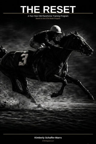 The Reset A two year old racehorse training program