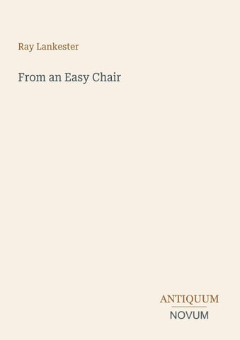 From an Easy Chair