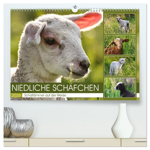 Niedliche Schäfchen (hochwertiger Premium Wandkalender 2026 DIN A2 quer), Kunstdruck in Hochglanz