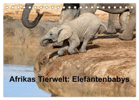 Afrikas Tierwelt: Elefantenbabys (Tischkalender 2026 DIN A5 quer), CALVENDO Monatskalender