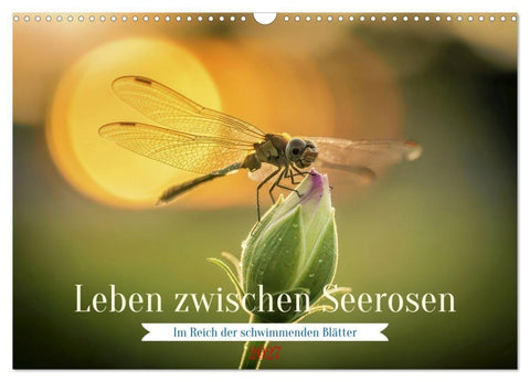 Leben zwischen Seerosen (Wandkalender 2027 DIN A3 quer), CALVENDO Monatskalender