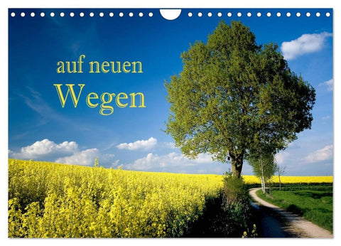 Auf neuen Wegen (Wandkalender 2026 DIN A4 quer), CALVENDO Monatskalender