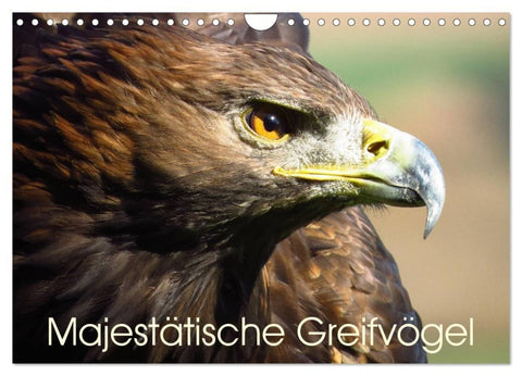 Majestätische Greifvögel (Wandkalender 2027 DIN A4 quer), CALVENDO Monatskalender