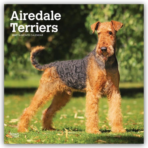 Airedale Terrier 2027 – 16-Monatskalender