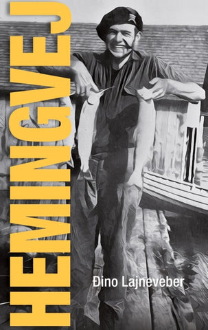 HEMINGVEJ - How it all began
