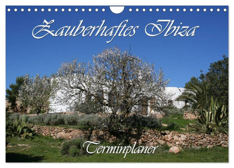 Zauberhaftes Ibiza - Terminplaner (Wandkalender 2026 DIN A4 quer), CALVENDO Monatskalender