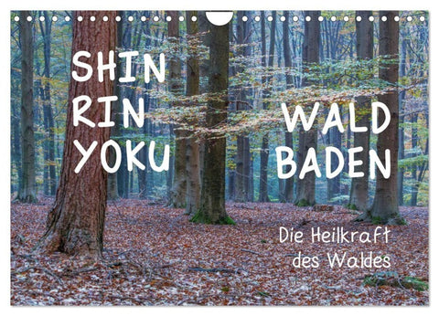 Shinrin yoku - Waldbaden 2027 (Wandkalender 2027 DIN A4 quer), CALVENDO Monatskalender