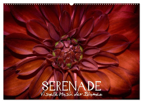 Serenade - Visuelle Musik der Blumen (Wandkalender 2027 DIN A2 quer), CALVENDO Monatskalender