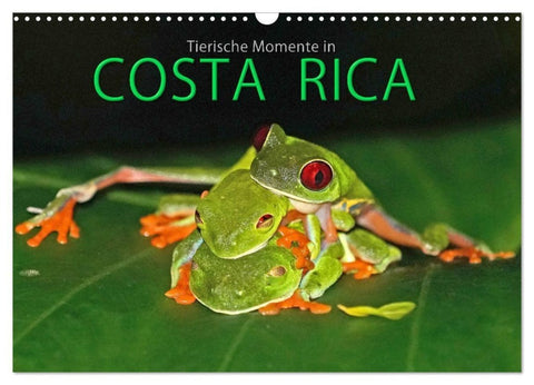 COSTA RICA - Tierische Momente (Wandkalender 2027 DIN A3 quer), CALVENDO Monatskalender