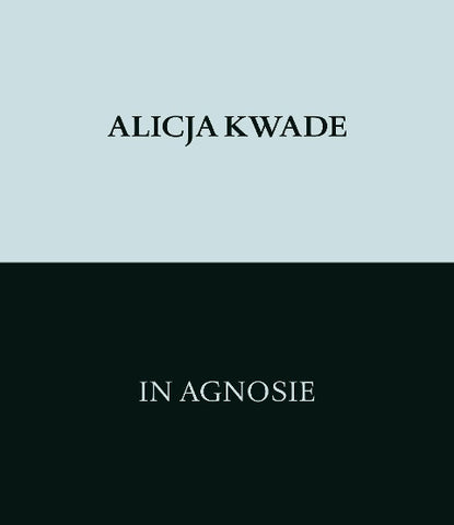 Alicja Kwade. In Agnosie