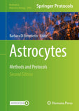 Astrocytes